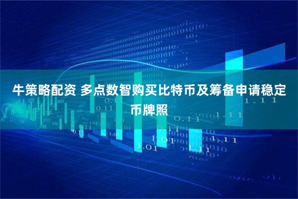 牛策略配资 多点数智购买比特币及筹备申请稳定币牌照