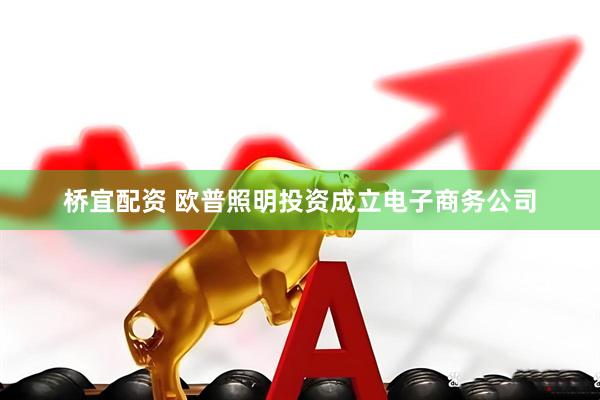 桥宜配资 欧普照明投资成立电子商务公司