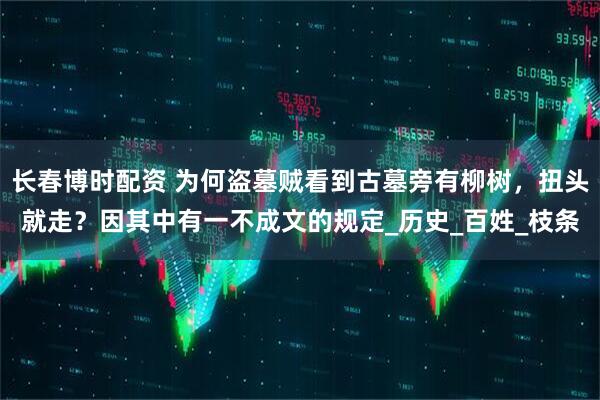 长春博时配资 为何盗墓贼看到古墓旁有柳树，扭头就走？因其中有一不成文的规定_历史_百姓_枝条
