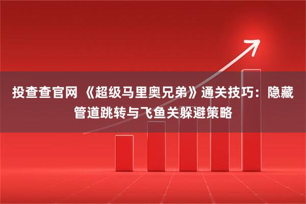 投查查官网 《超级马里奥兄弟》通关技巧：隐藏管道跳转与飞鱼关躲避策略