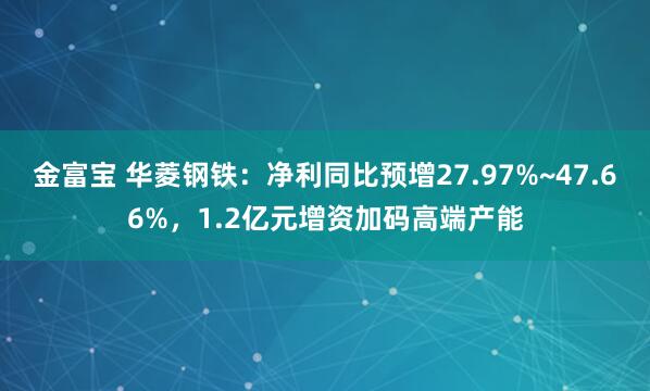金富宝 华菱钢铁：净利同比预增27.97%~47.66%，1.2亿元增资加码高端产能